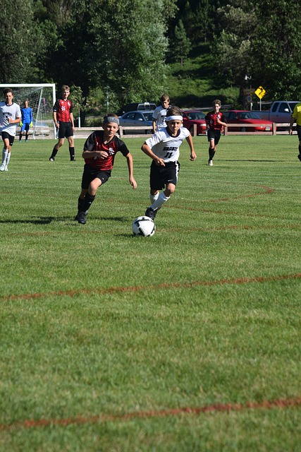 续保持这些 续保持这些