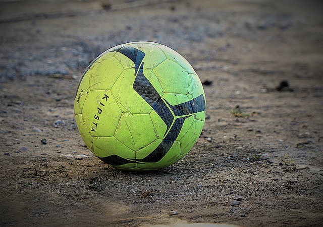 定是上海队 定是上海队