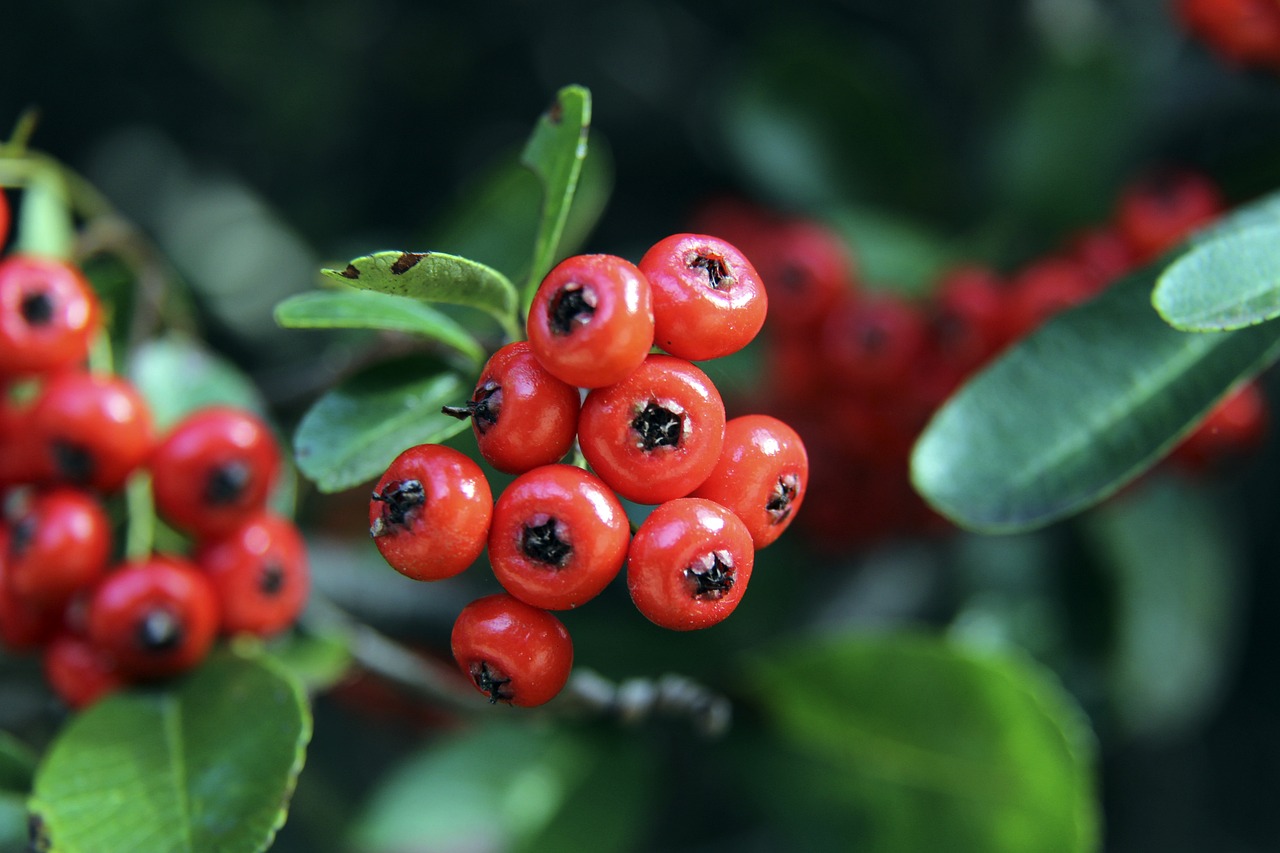 盯人不紧 盯人不紧