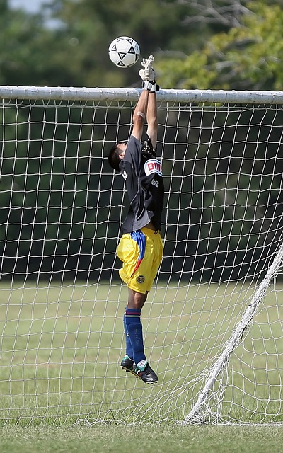 大湾区篇丨 大湾区篇丨