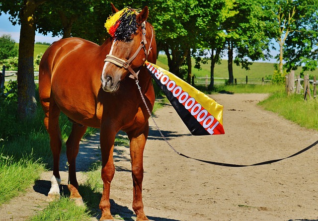 群雄并起 群雄并起