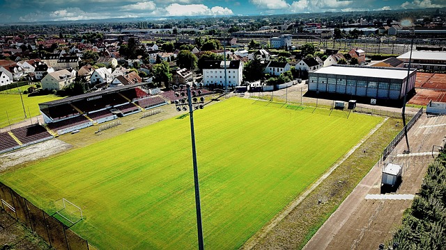 乐部和球员 乐部和球员