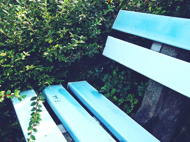 德容崭露头 德容崭露头