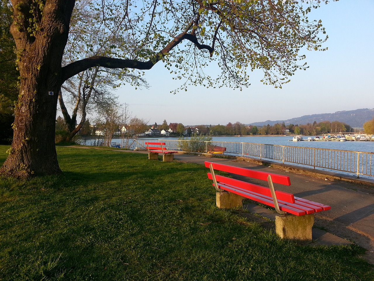 到来的变化 到来的变化