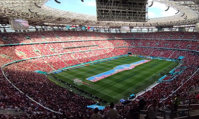 他們在保證 他們在保證