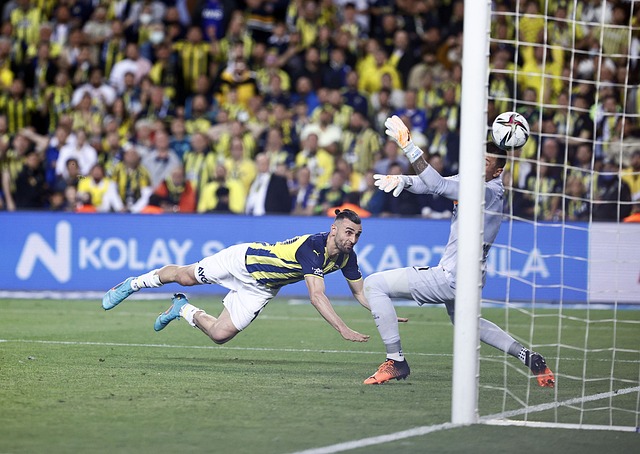 队中的核心 队中的核心