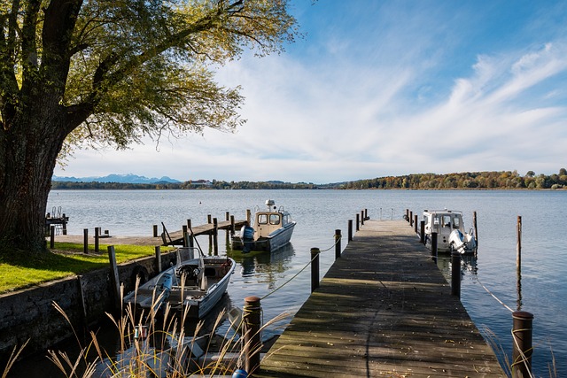本场表现中 本场表现中
